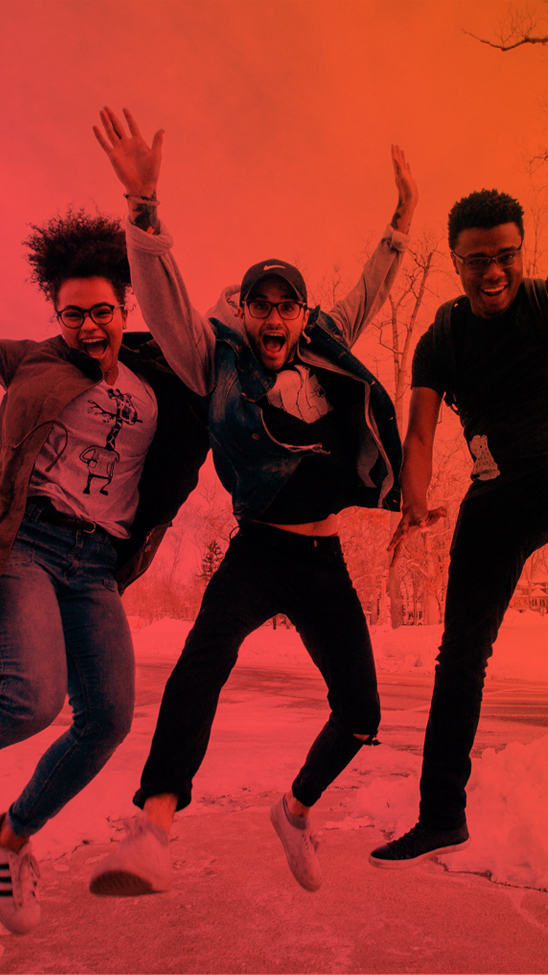 Beautiful Minds Website