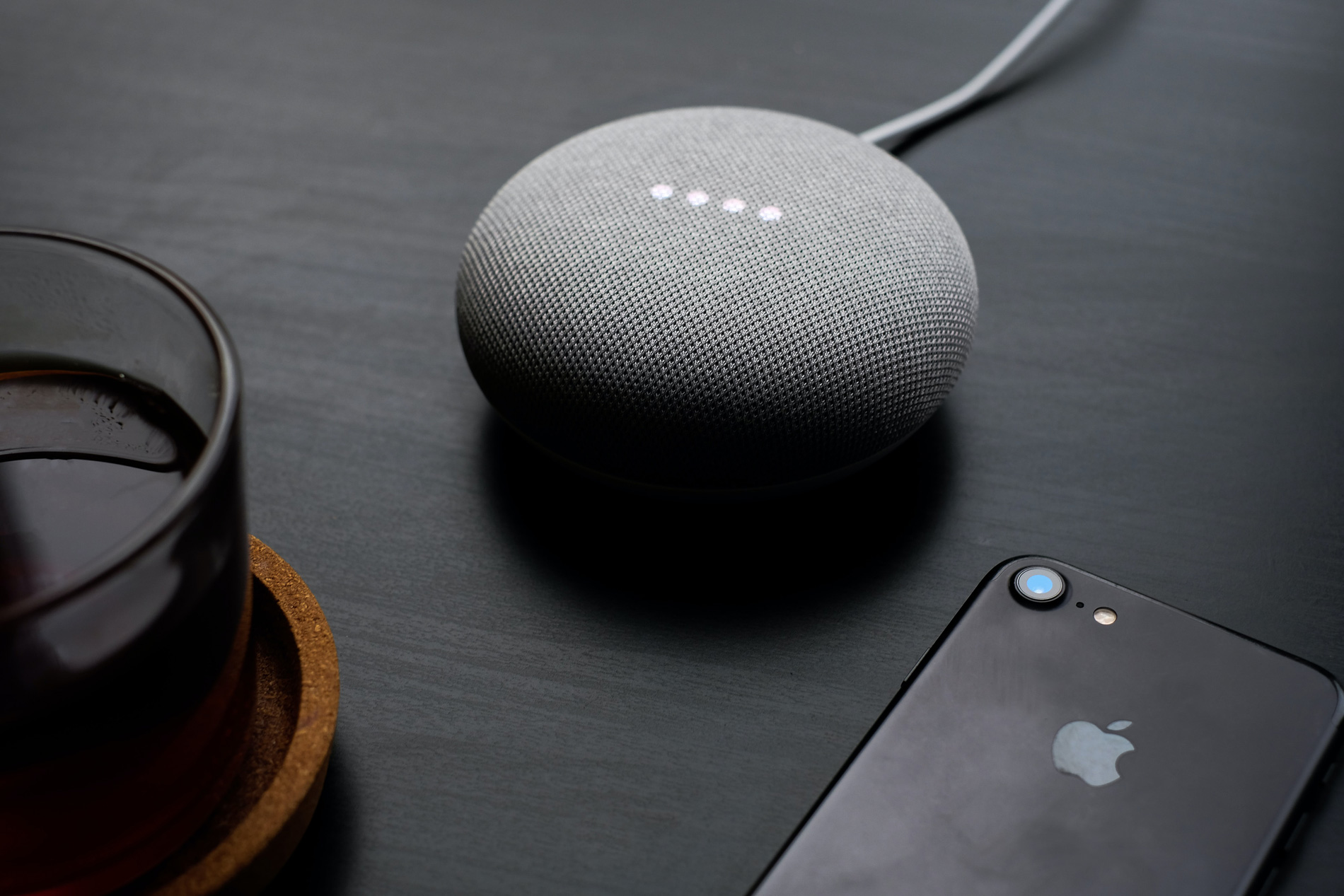 The future of voice search infographic