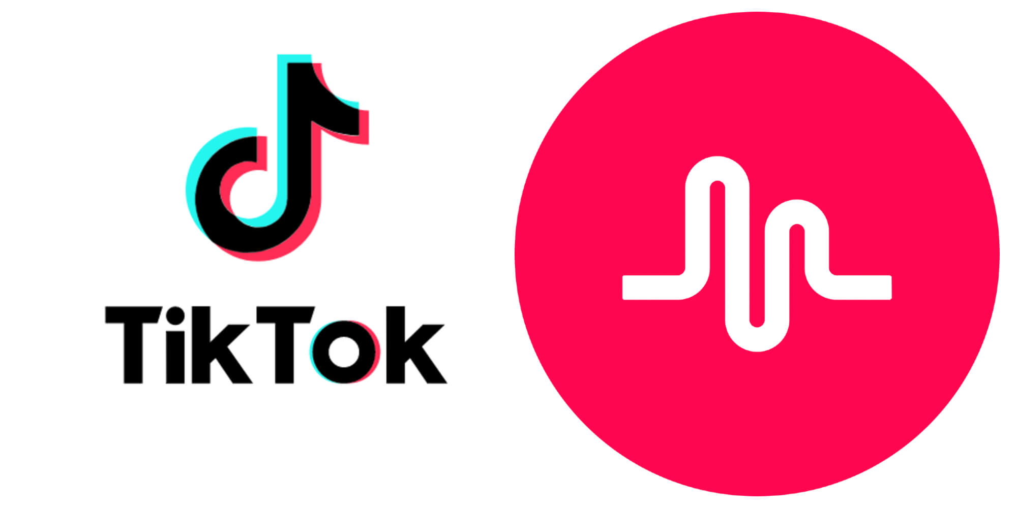 The year of MUSICAL.LY